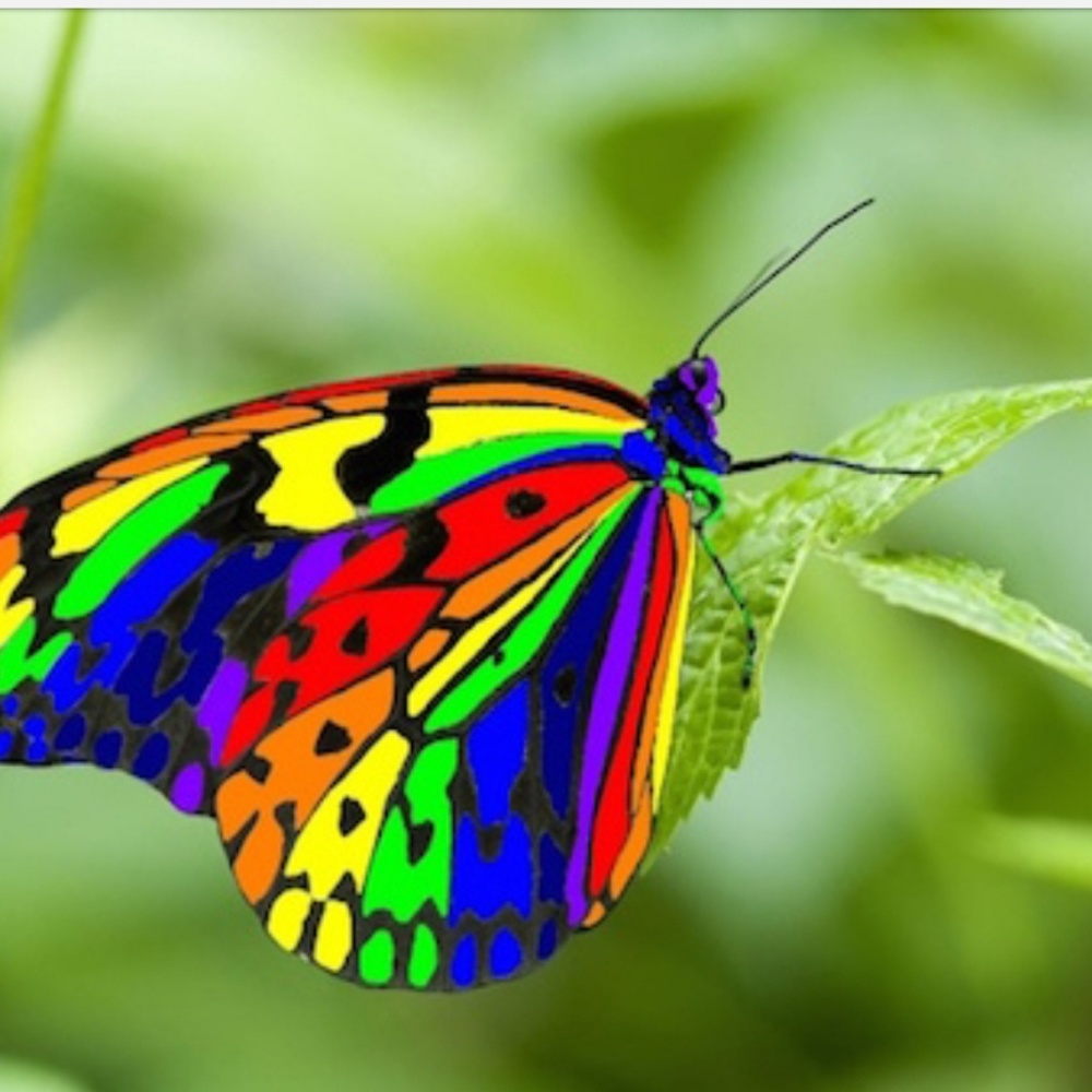 Meet your Posher, Latisha